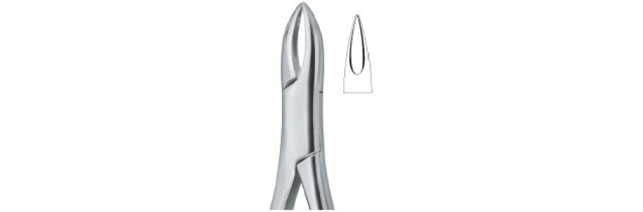 Tooth Extracting Forceps|(amr)