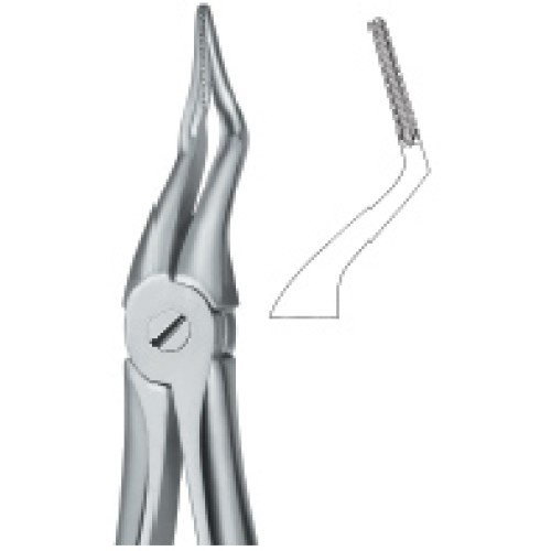 Tooth Ext Forceps
