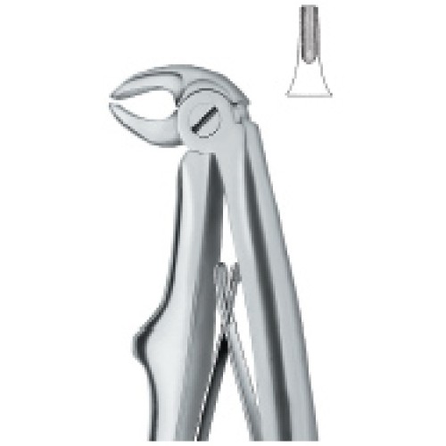 Incisors 5
