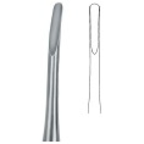 Apical 2A