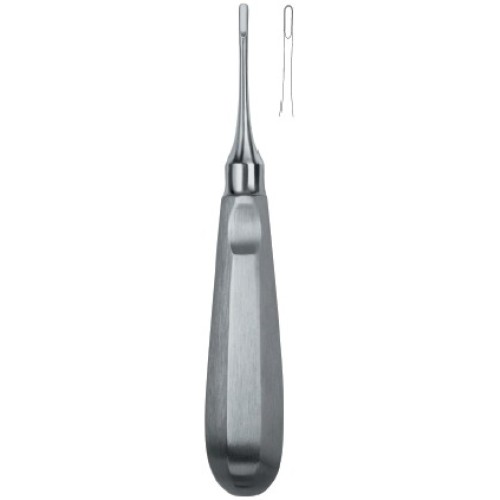 Apical 301