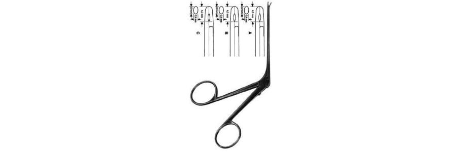 Otology