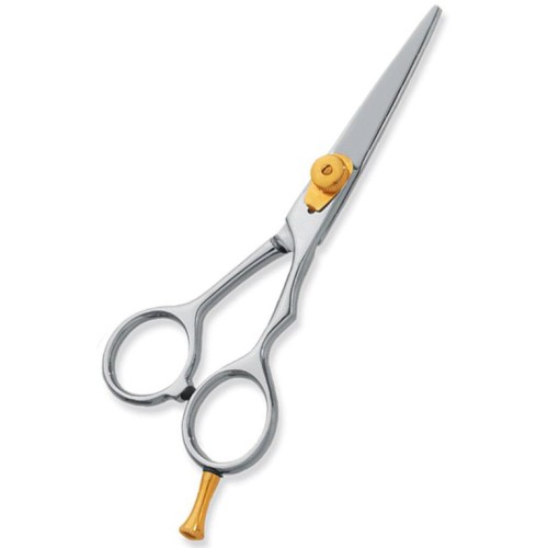 Professional hair Cutting Scissors
