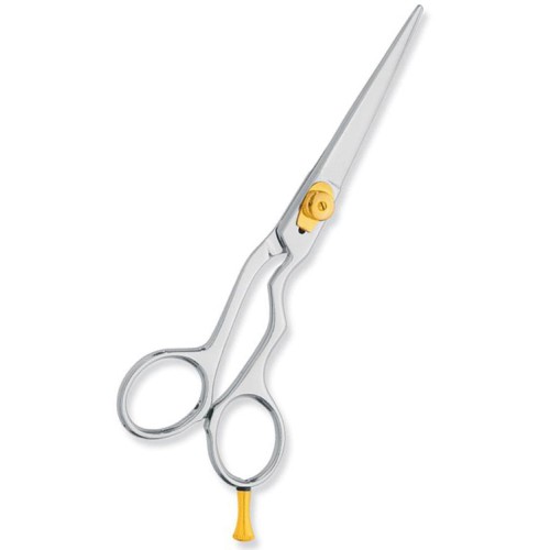 Professional hair Cutting Scissors